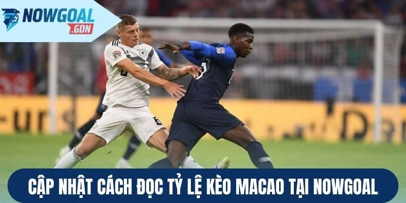 Cập nhật cách đọc tỷ lệ kèo Macao tại Nowgoal