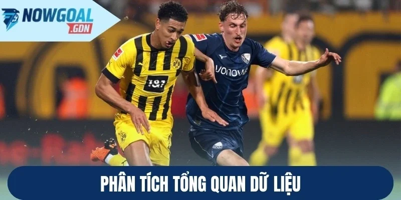 Phân tích tổng quan dữ liệu
