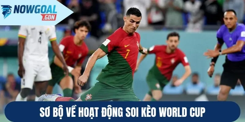 Sơ bộ về hoạt động soi kèo World Cup