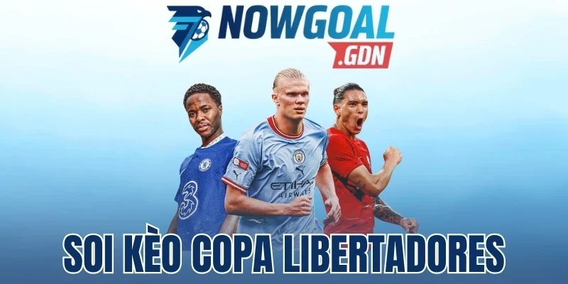 Nắm rõ thông tin về kèo Copa Libertadores