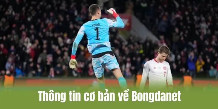 Người chơi hiểu rõ thông tin cơ bản về website Bongdanet
