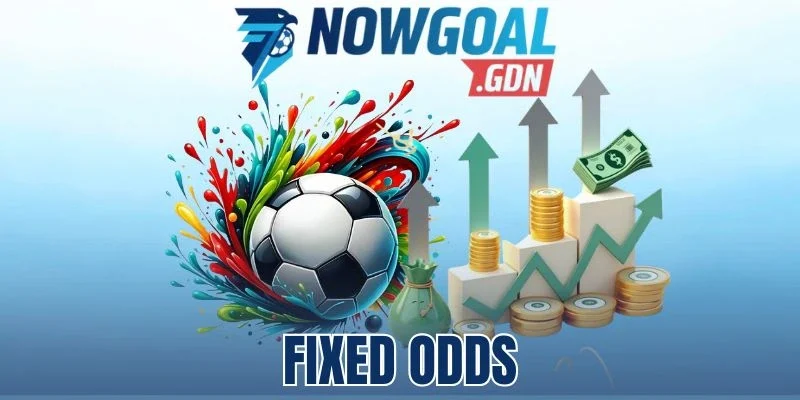 Fixed Odds - Vào Tiền Bóng Đá Với Tỷ Lệ Cược Cố Định